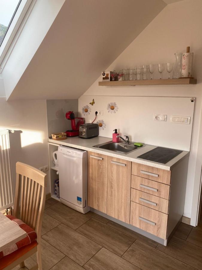 Apartment Marjetka Zirovnica ภายนอก รูปภาพ